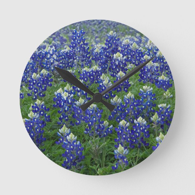 Texas Bluebonnets Field Foto Runde Wanduhr (Vorderseite)