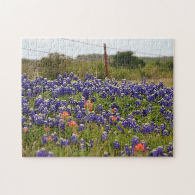 Texas Bluebonnets im Farm Country Fence Puzzle (Horizontal)