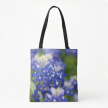 Texas Bluebonnets in blühender Tasche