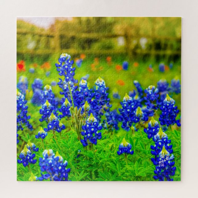 Texas Bluebonnets Indian Floral Nature Travel Puzzle (Horizontal)