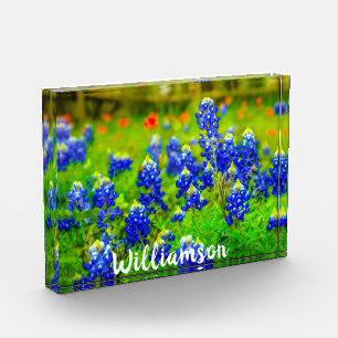 Texas Bluebonnets Indian Paintbrush Family Name Fotoblock