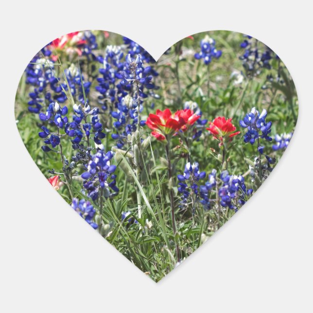 Texas Bluebonnets & Indian Paintbrush-Wildblumen Herz-Aufkleber (Vorderseite)
