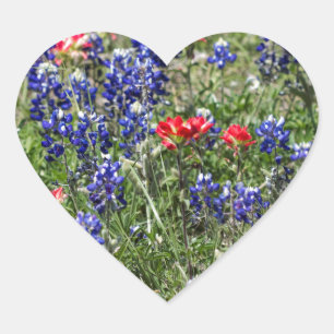 Texas Bluebonnets & Indian Paintbrush-Wildblumen Herz-Aufkleber