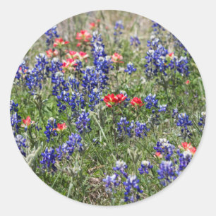 Texas Bluebonnets & Indian Paintbrush-Wildblumen Runder Aufkleber