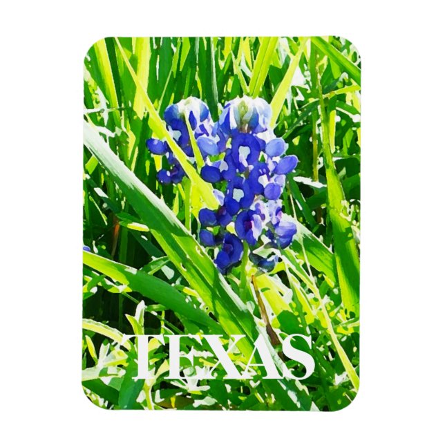 Texas Bluebonnets Magnet (Vertikal)