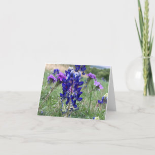 Texas Bluebonnets Notecard Dankeskarte