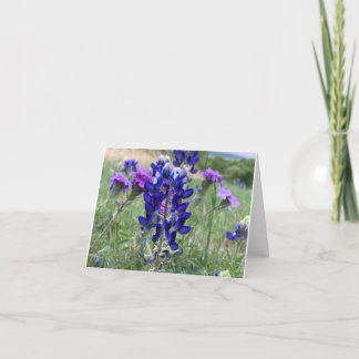 Texas Bluebonnets Notecard Dankeskarte