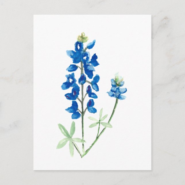 Texas Bluebonnets Postkarte (Vorderseite)