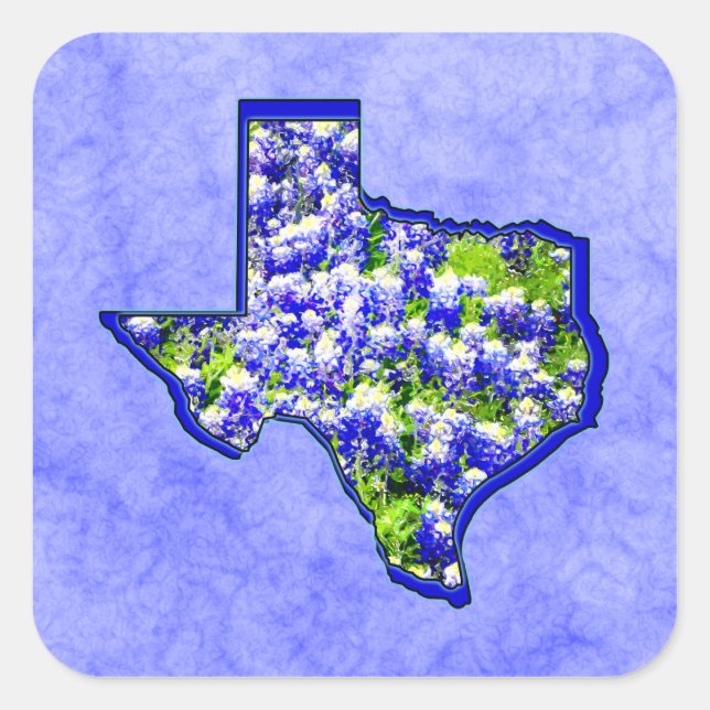 TEXAS BLUEBONNETS QUADRATISCHER AUFKLEBER (Vorderseite)