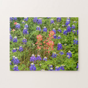 Texas Bluebonnets und Indische Paintbrush-Blume Puzzle