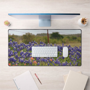 Texas Bluebonnets von einem Landbauernhof Schreibtischunterlage