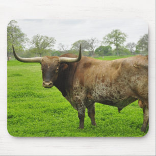Texas brannte orange Longhorn-Ochsen Mousepad