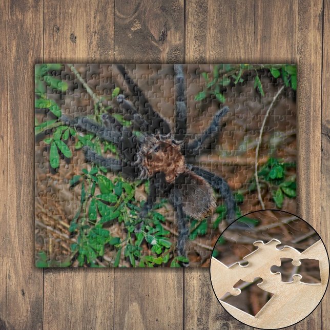 Texas Brown Tarantula Puzzle (Texas Brown Tarantula Jigsaw Puzzle)