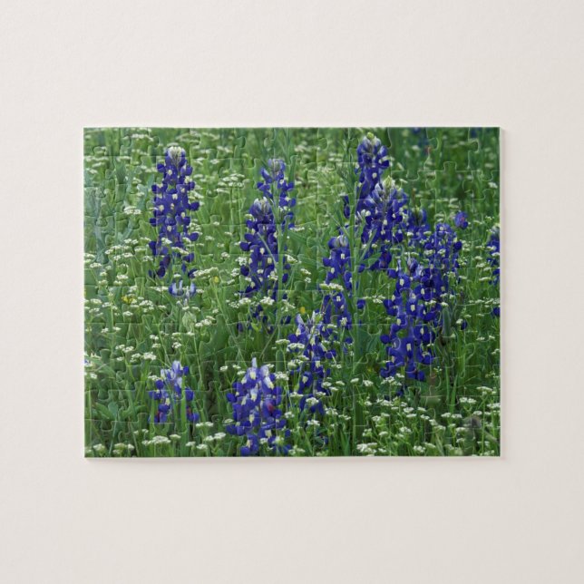 Texas, Buchanan-See. Texas Bluebonnet und Wild Puzzle (Horizontal)