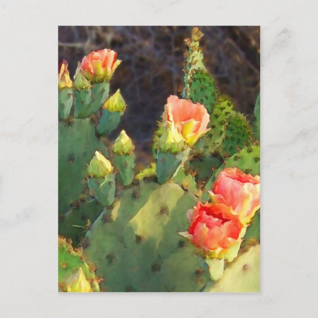 Texas Cactus 2 Postkarte (Vorderseite)
