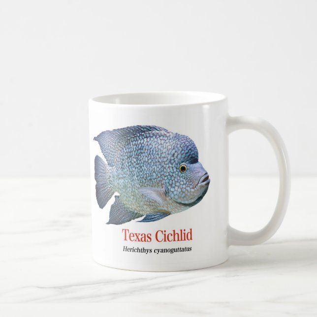 Texas Cichlid Tasse (Rechts)