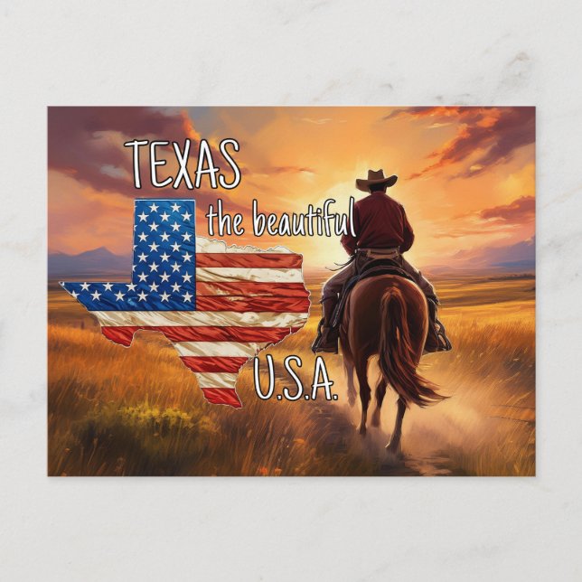 TEXAS die schönen USA Postkarte (Vorderseite)