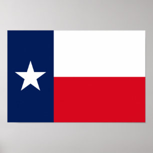 TEXAS-Flag - Poster