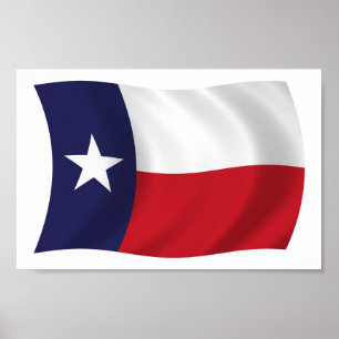Texas Flag Poster Print