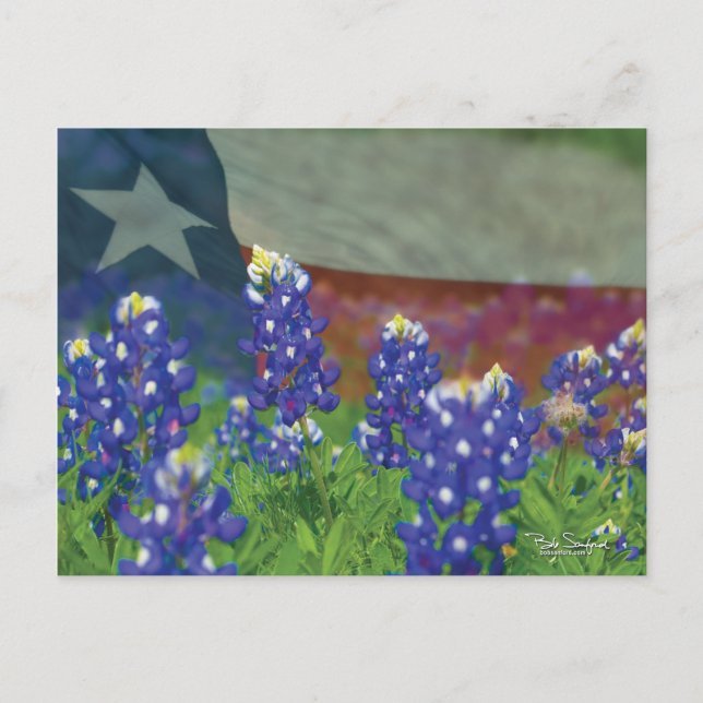 Texas-Flagge mit Bluebonnets Postkarte (Vorderseite)