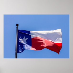 Texas-Flagge Poster