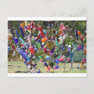 Texas Flasche Tree Postkarte