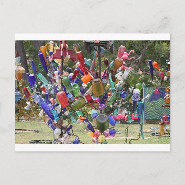 Texas Flasche Tree Postkarte (Vorderseite)