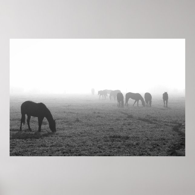 Texas Fog Poster (Vorne)