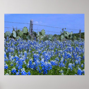 Texas Hill Country Bluebonnets/Cactus Art Print Poster