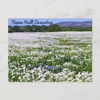 Texas Hill Country Postcard Postkarte