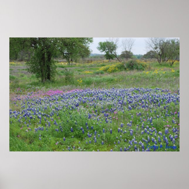 Texas Hill Country Print Poster (Vorne)
