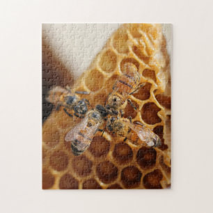 Texas Honeybees   Honeycomb Hive Puzzle