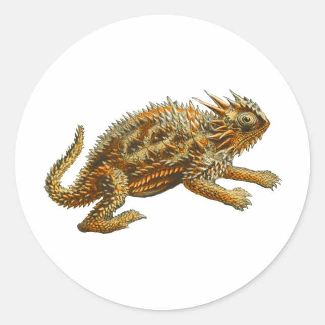 Texas Horned Lizard Runder Aufkleber (Vorderseite)