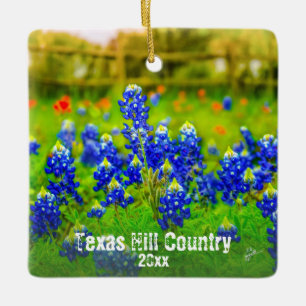 Texas-Hügel-LandBluebonnets besitzen Foto-Reise Keramikornament