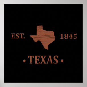 Texas kartografiert den einsamen Staat Poster