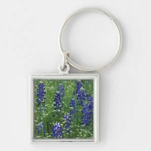 Texas, Lake Buchanan. Texas-Bluebonnet und Wild Schlüsselanhänger