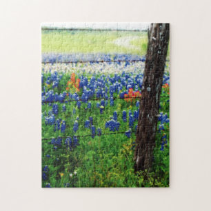 Texas-Landschaft Puzzle