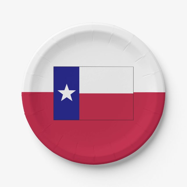 Texas Lone Star Flag Pappteller (Vorderseite)