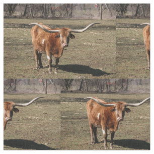 Texas Long Horns! Stoff