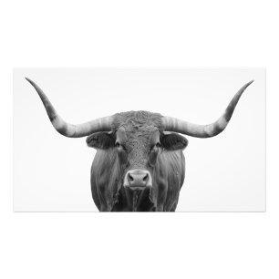Texas Longhorn Bull Schwarz-weiß Fotodruck