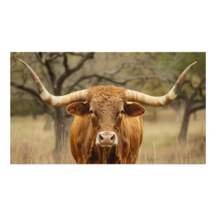 Texas-Longhorn-Bulle Fotodruck