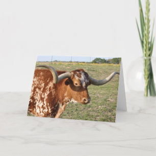 Texas Longhorn Karte