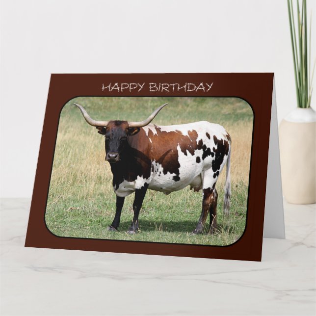 Texas Longhorn Kuh Happy Birthday (Big Size) Karte (Vorderseite)