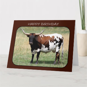 Texas Longhorn Kuh Happy Birthday (Big Size) Karte