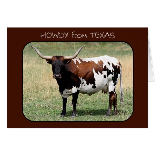 Texas Longhorn Kuh Howdy aus Texas (Vorderseite (Horizontal))