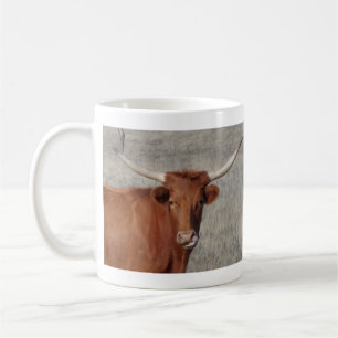 Texas Longhorn Kuh leckt ihre Nase Kaffee Tasse