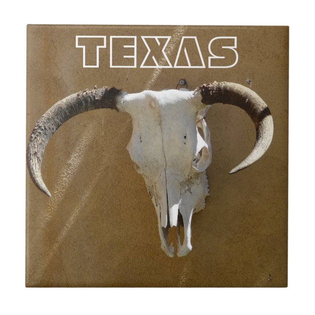 Texas-Longhorn Kuh-Schädel Fliese (Vorderseite)