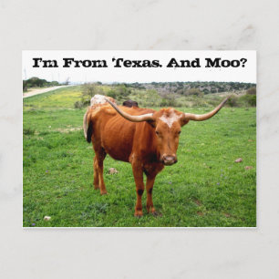 Texas Longhorn mit lustigem Texas-Sprichwort Postkarte