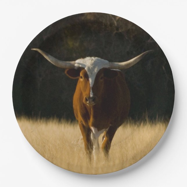 Texas Longhorn Paper Teller (Vorderseite)