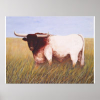 Texas Longhorn